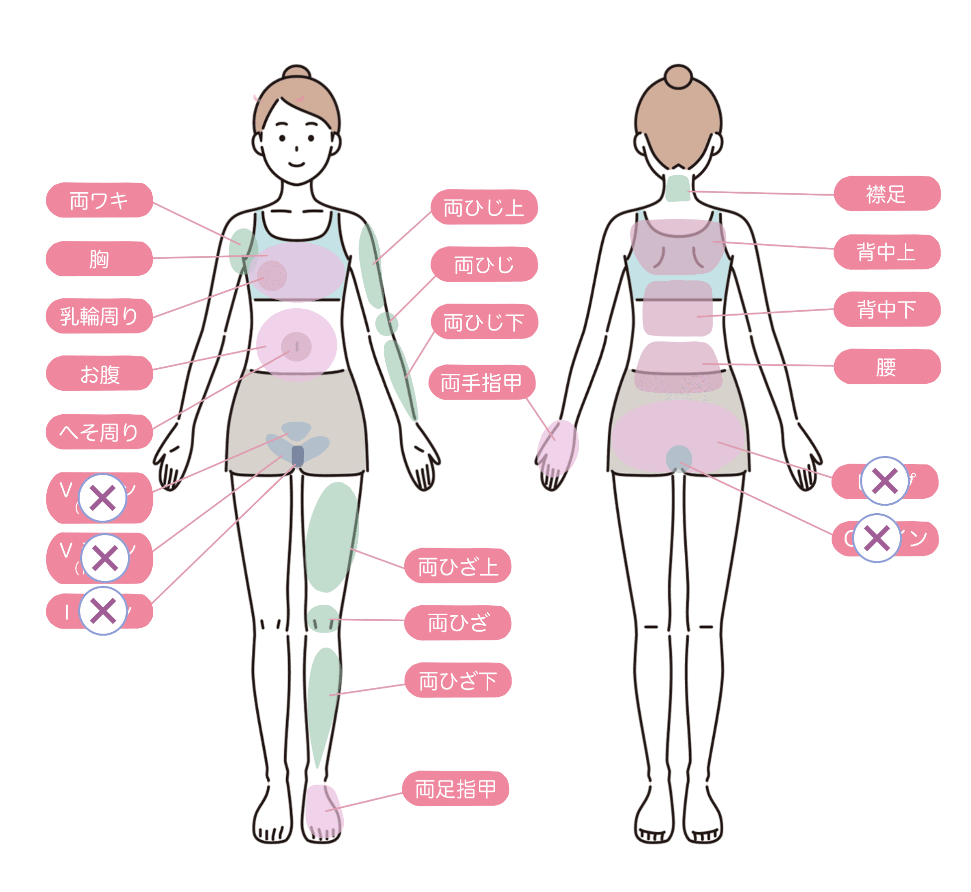 脱毛できる部位を前面・背面のイラストで示した図